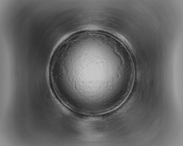 X0000113301183200909211115