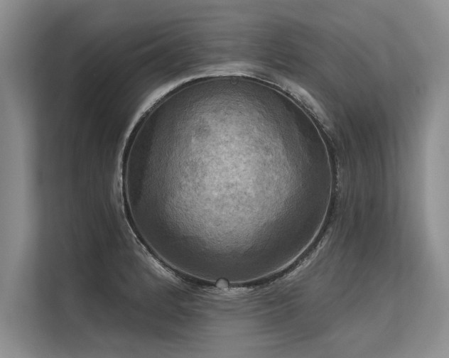 X0000113301184200909211115