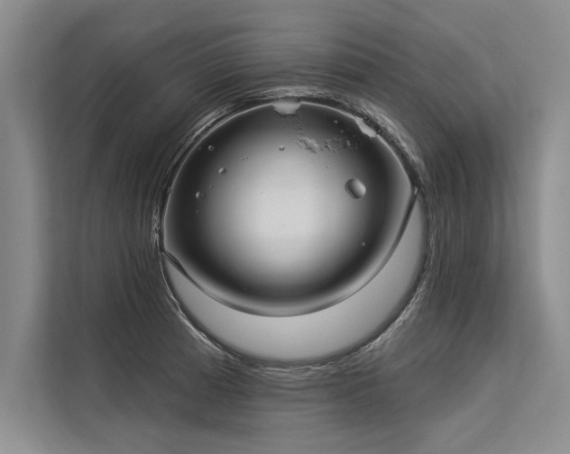 X0000113301185200909211115