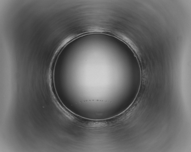 X0000113301187200909211115