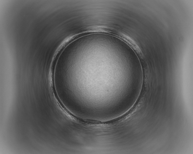 X0000113301188200909211115