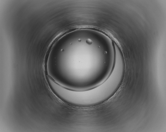 X0000113301189200909211115