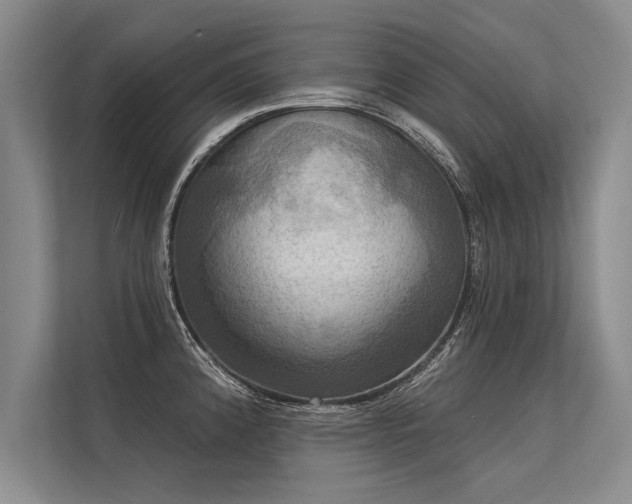 X0000113301192200909211115