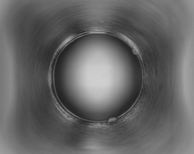 X0000113301195200909211115