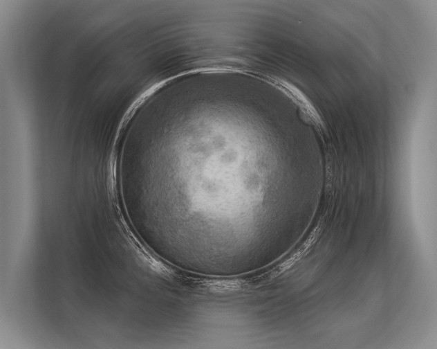 X0000113301196200909211115