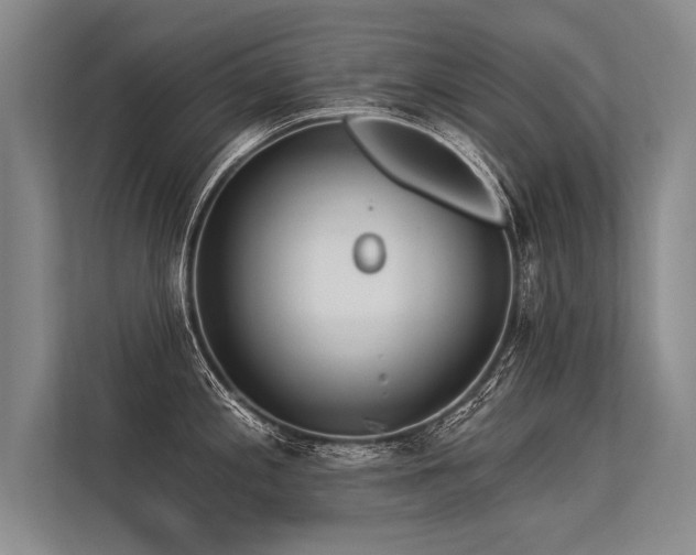 X0000113301197200909211115