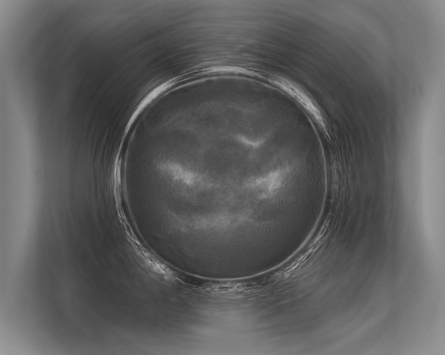 X0000113301198200909211115