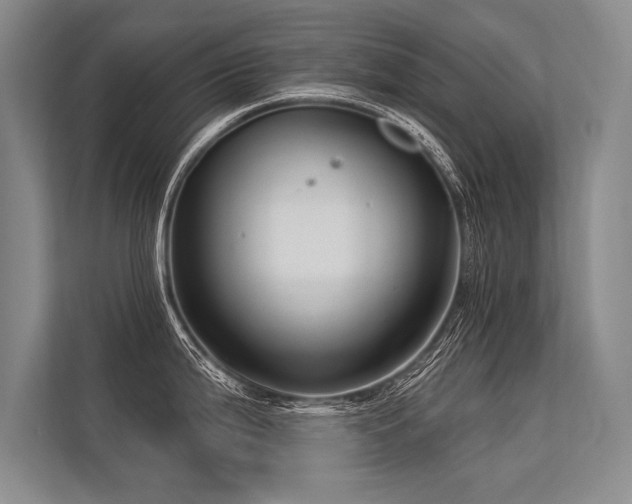 X0000113301199200909211115