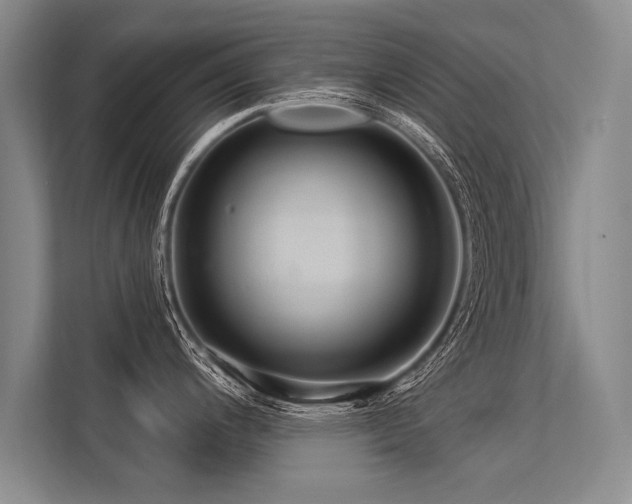 X0000113301200200909211115