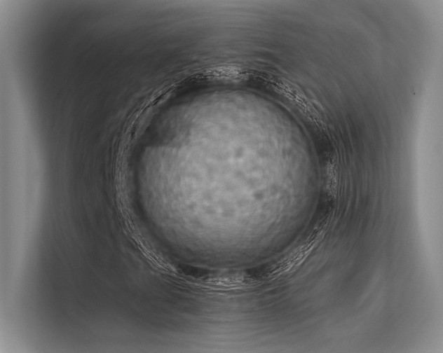 X0000113301201200909211114