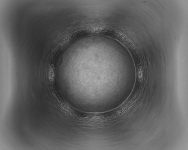 X0000113301204200909211114