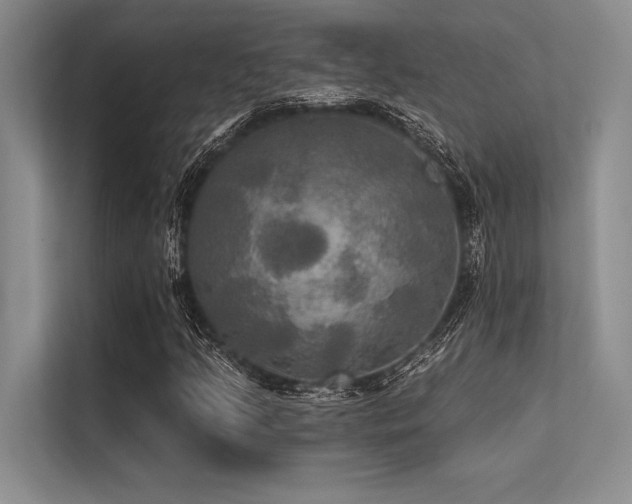 X0000113301205200909211114