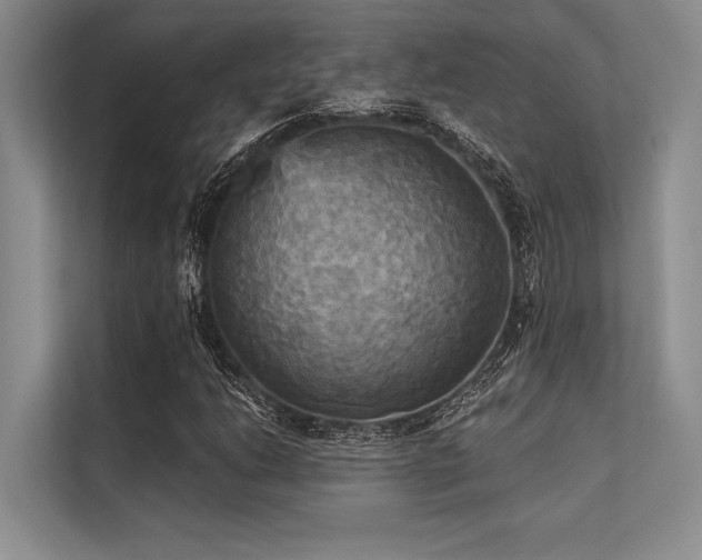 X0000113301206200909211114