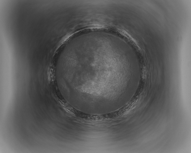 X0000113301208200909211114