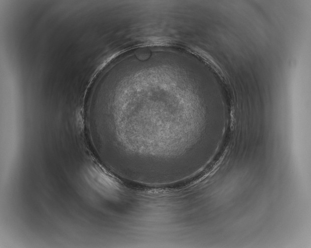 X0000113301212200909211114