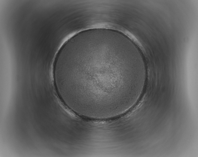 X0000113301230200909211114