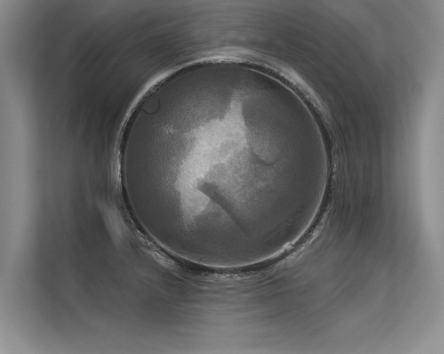 X0000113301232200909211114