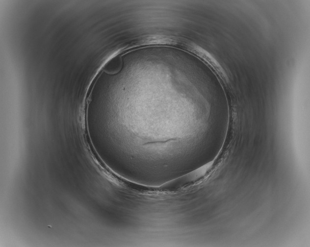 X0000113301236200909211114