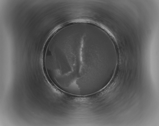 X0000113301237200909211114