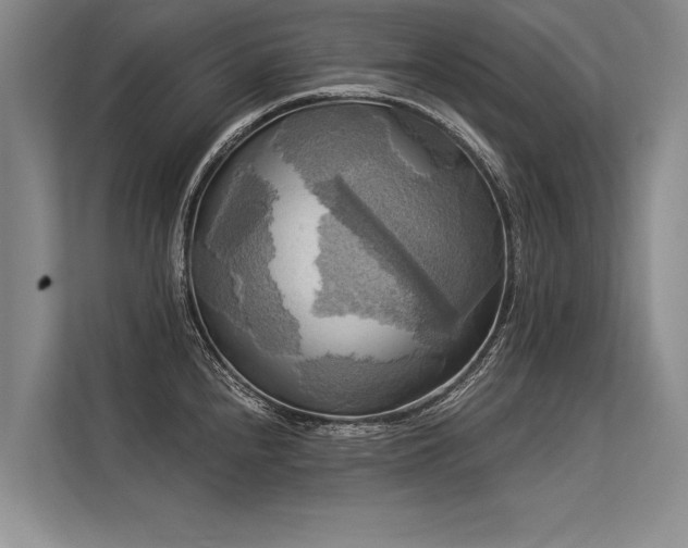 X0000113301240200909211114