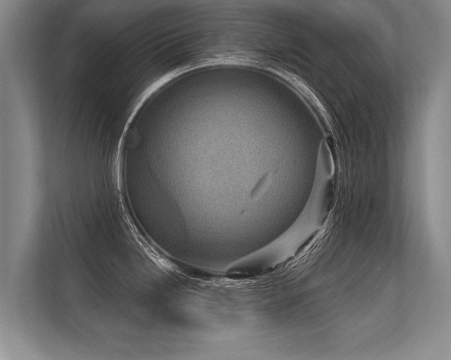 X0000113301246200909211115