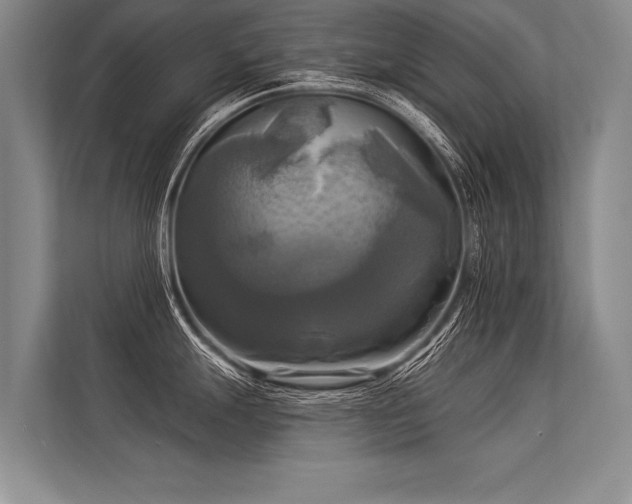 X0000113301247200909211115