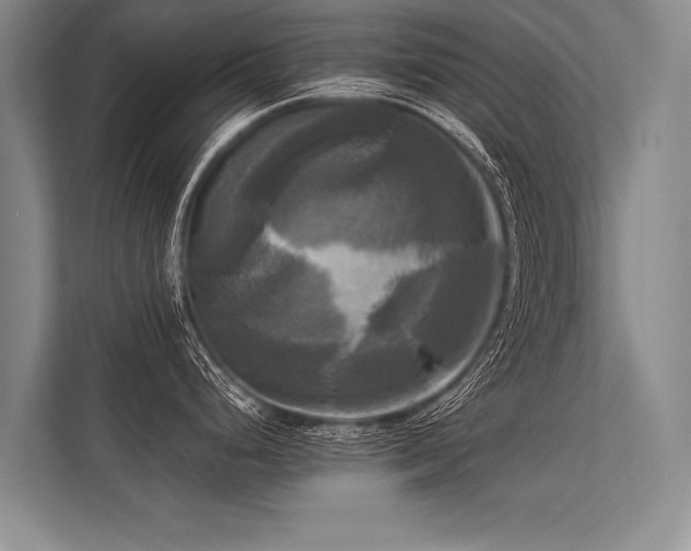 X0000113301248200909211115