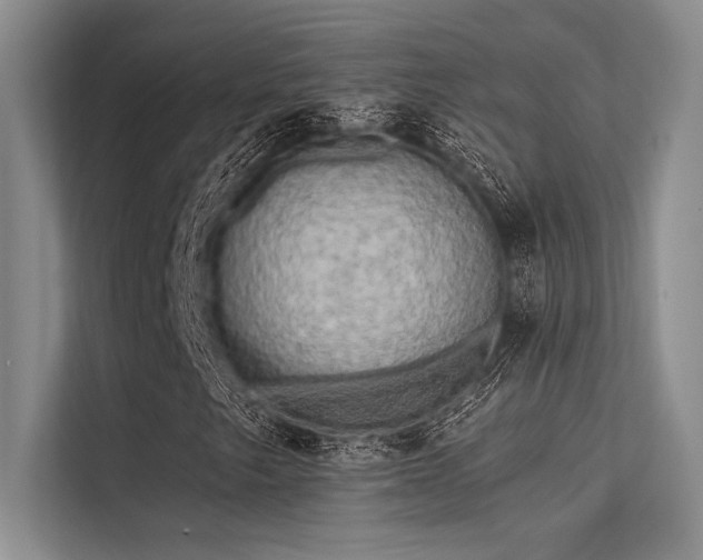 X0000113301249200909211114