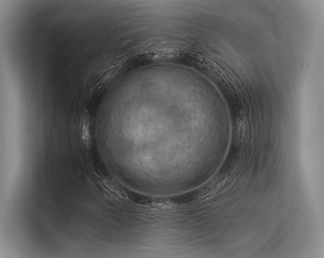 X0000113301250200909211114