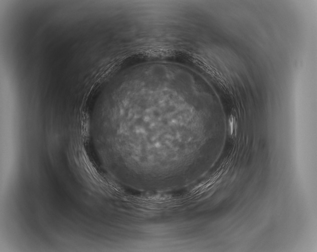 X0000113301251200909211114