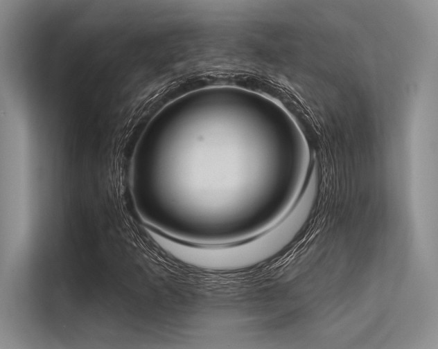 X0000113301253200909211114