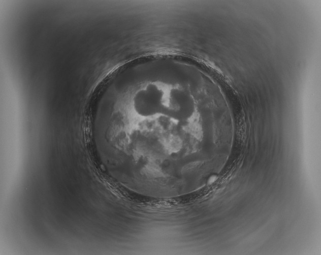 X0000113301255200909211114