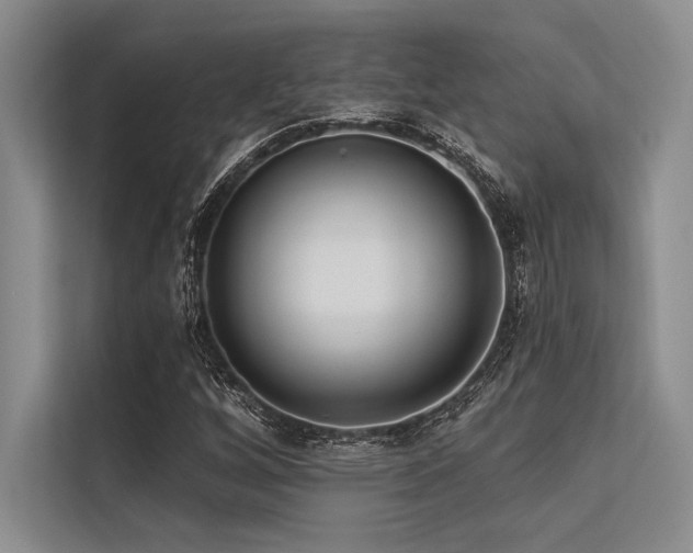 X0000113301256200909211114