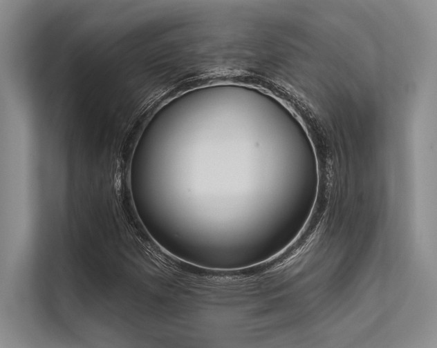 X0000113301257200909211114