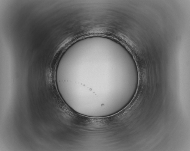 X0000113301258200909211114