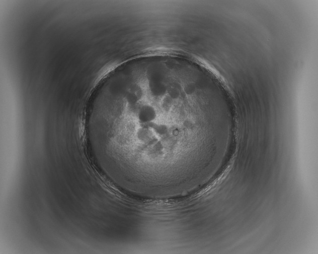 X0000113301259200909211114