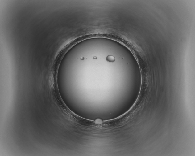 X0000113301262200909211114