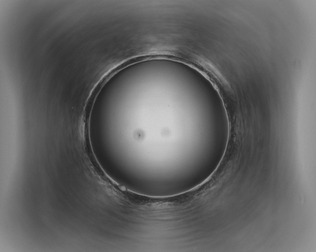 X0000113301268200909211113