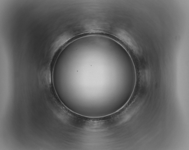 X0000113301269200909211113