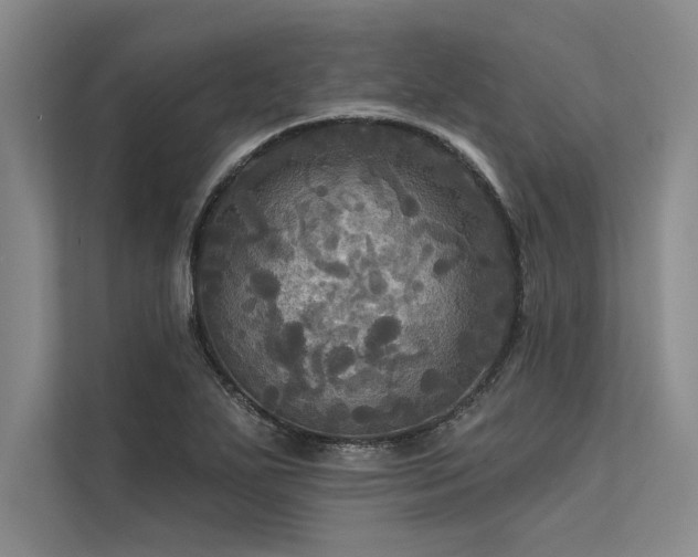 X0000113301271200909211113