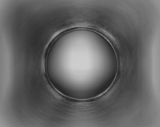 X0000113301272200909211113