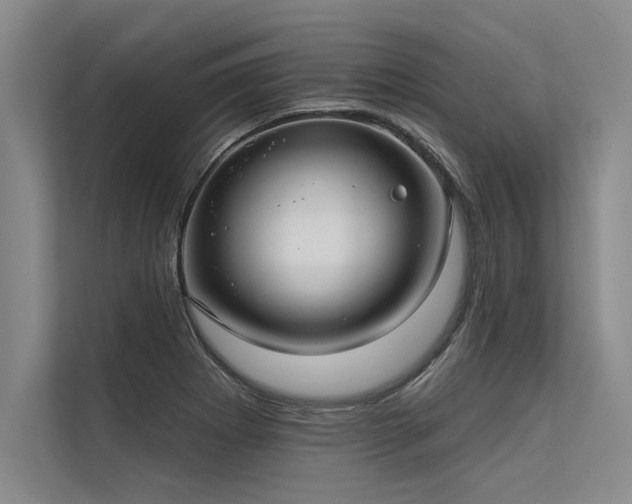 X0000113301273200909211113