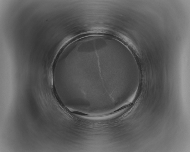 X0000113301275200909211113