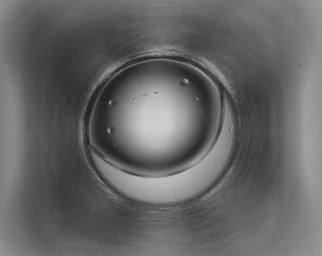 X0000113301277200909211113