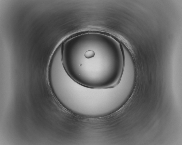 X0000113301280200909211113