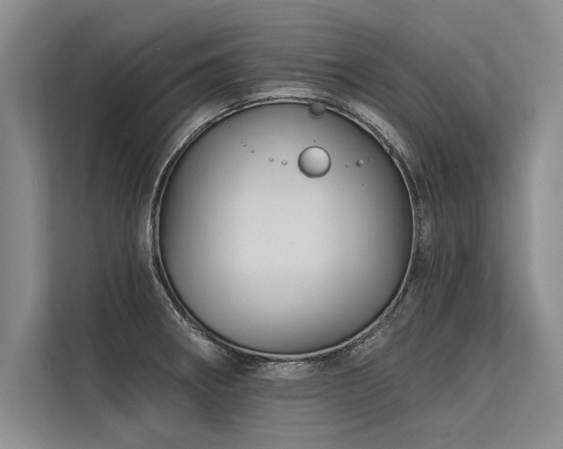 X0000113301282200909211113