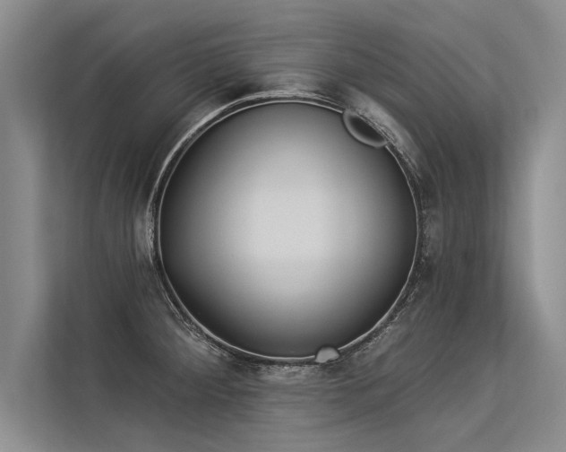 X0000113301284200909211113