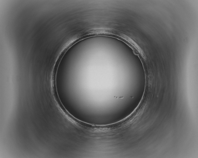 X0000113301285200909211113