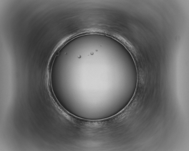 X0000113301286200909211113