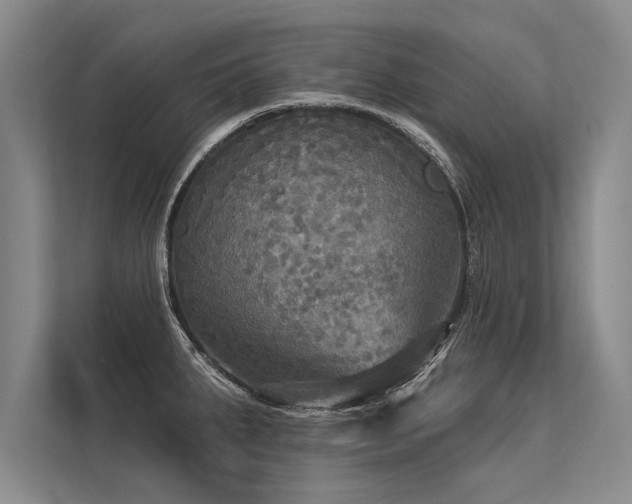 X0000113301287200909211113